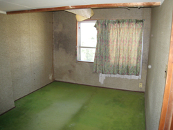 �m���{�H�O