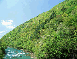 �G�R�L���[�g