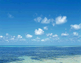 ���z�����d